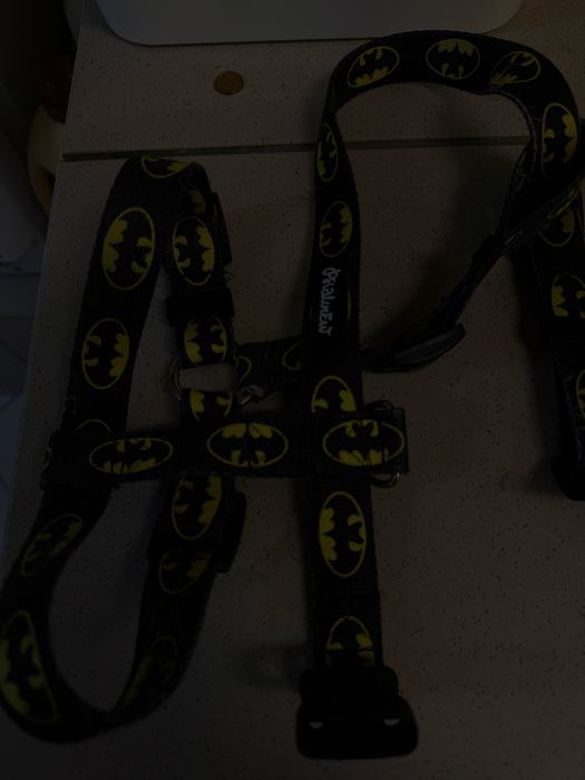 Szelki dla Psa Guard Bat Dog Psiakrew