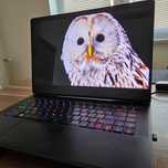 MSI GP66 Vector OLED QHD 240Hz HDR i7 12700h 32gb ram DDR5 RTX3060 1TB