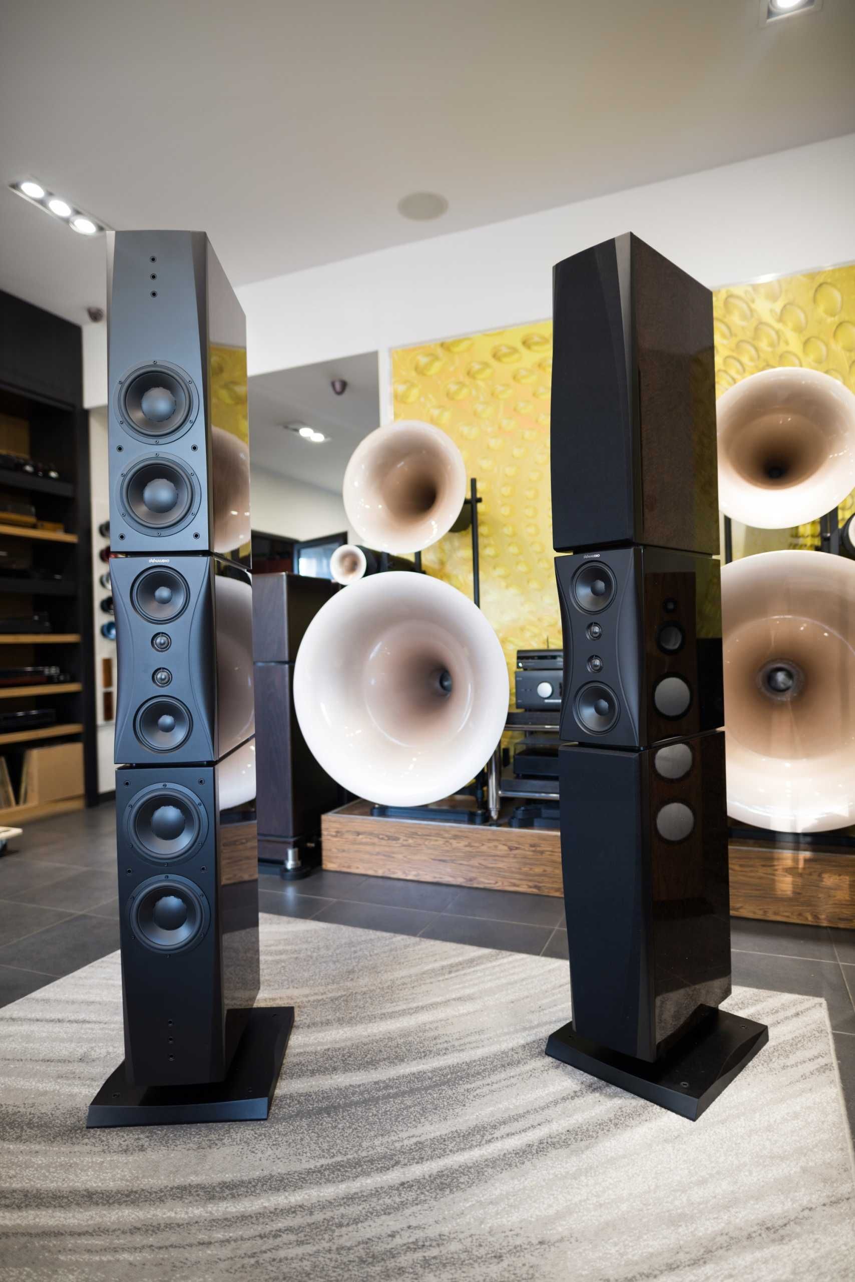 DYNAUDIO Evidence Platinum