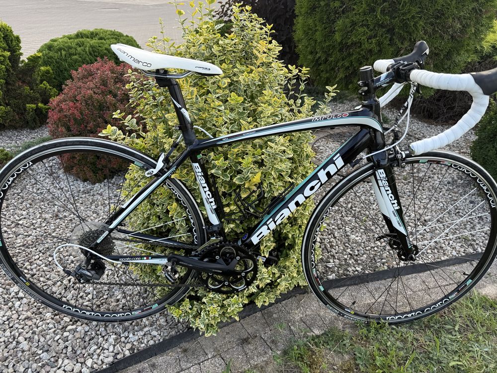 Bianchi Impulso roz.50