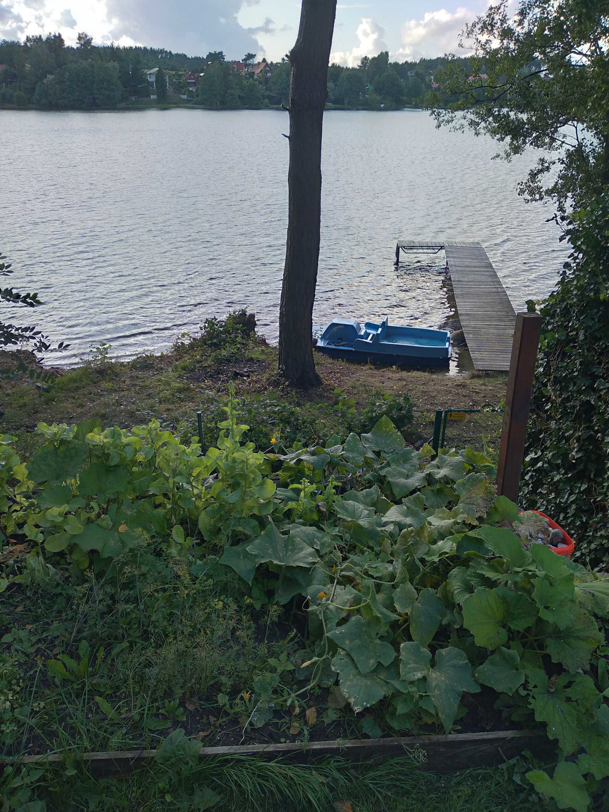 Domek do wynajęcia na Kaszubach nad jeziorem Kamień