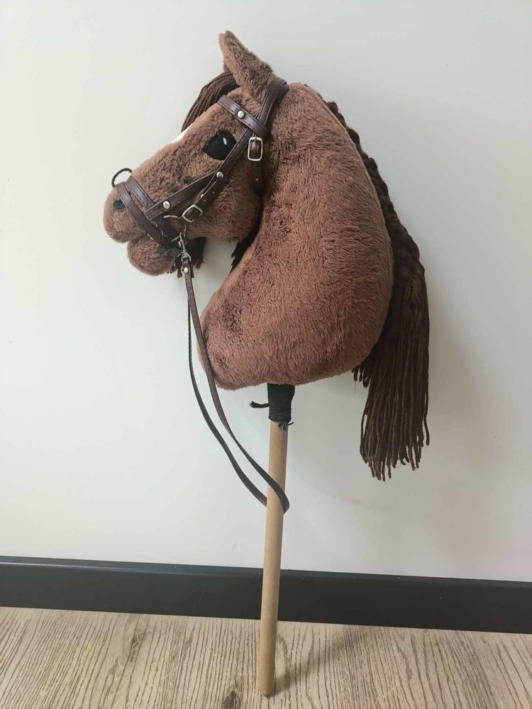 Hobby horse (hobby horsing)