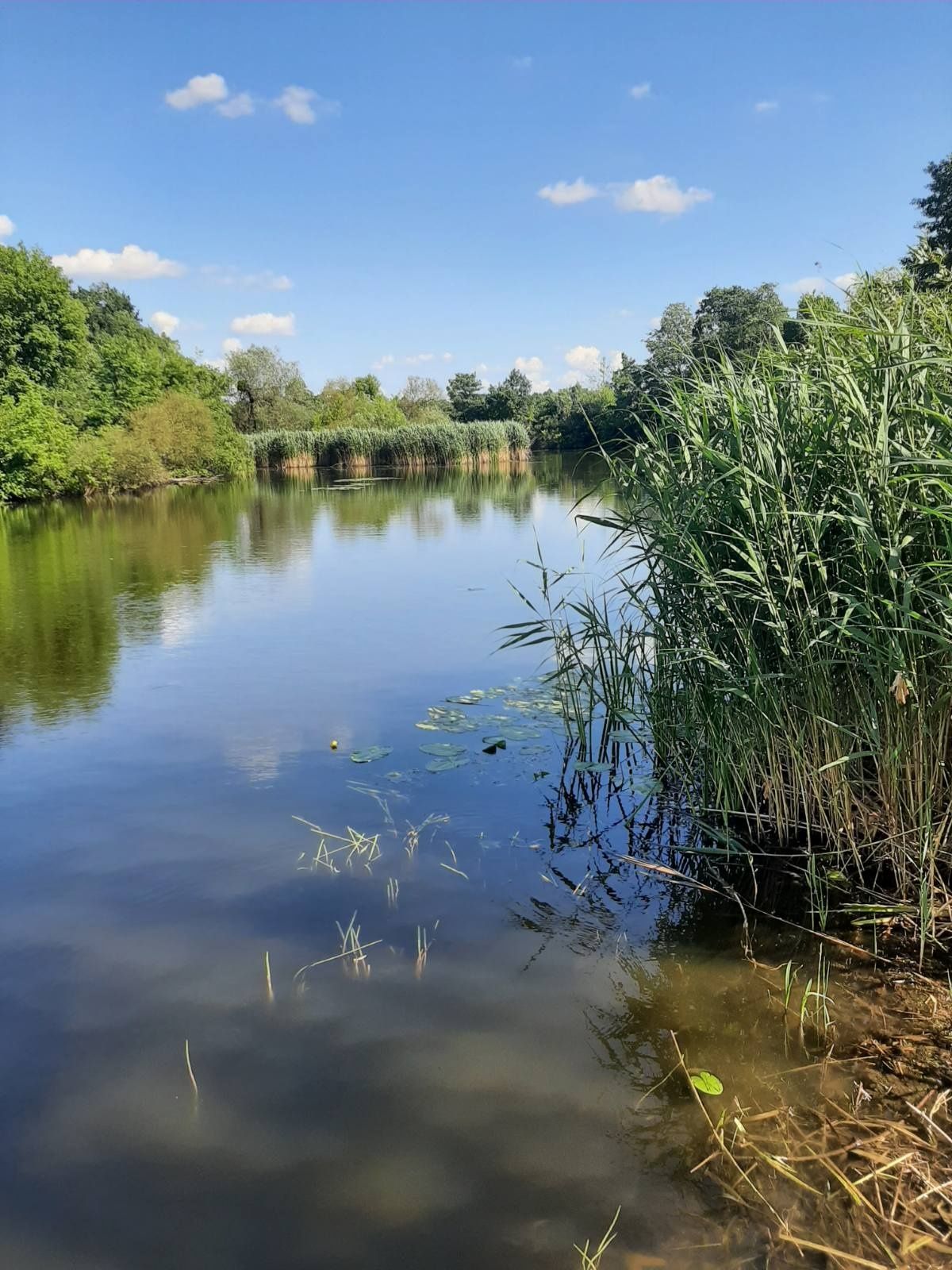 Продам земельну ділянку. Терміново.