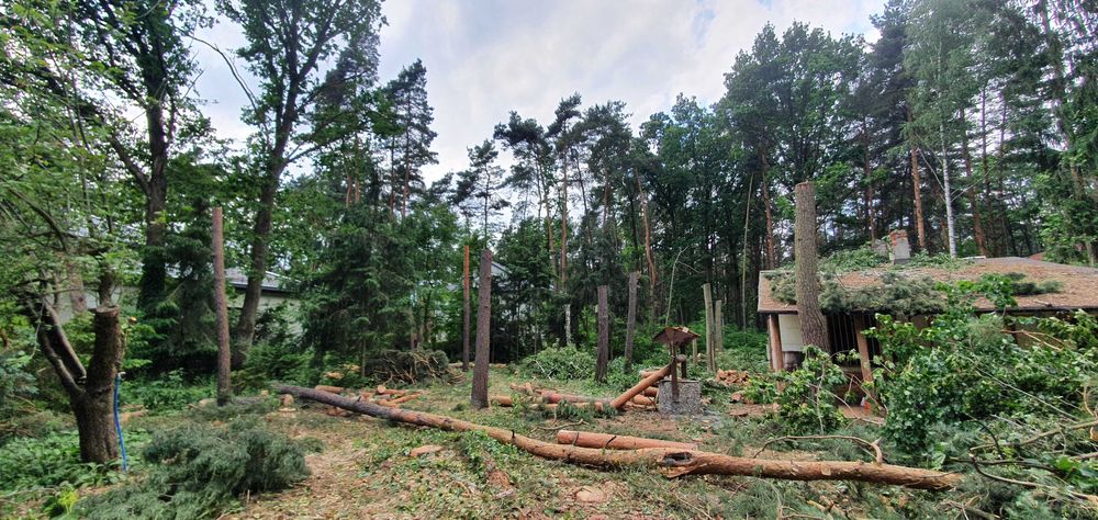 Wycinka Drzew Niwelacje Terenu Frezowanie Karp Rębak Podnośnik