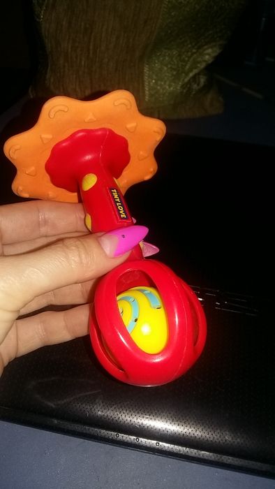 Грызунок -погремушка TINNY LOVE