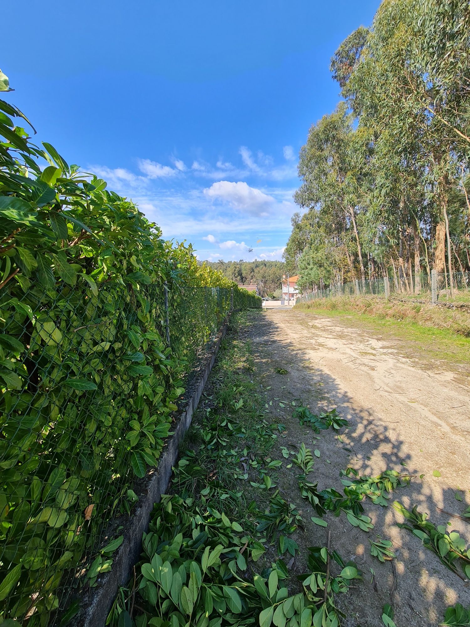 Serviços de JARDINAGEM