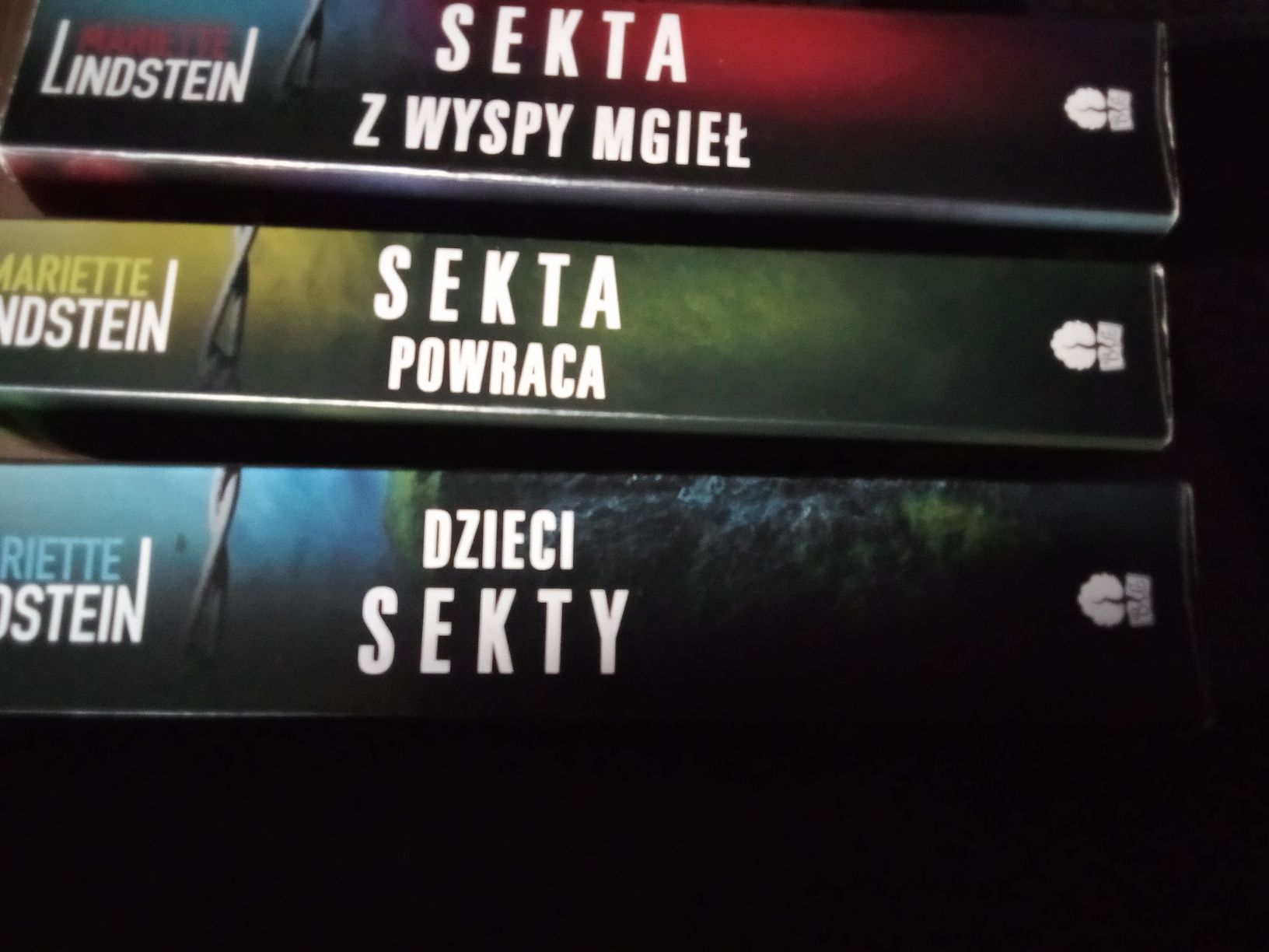 Sekta z wyspy mgieł trylogia Mariette Lindstein
