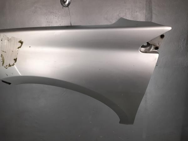 Guarda-lamas esquerdo RENAULT Laguna III (BT0/1)