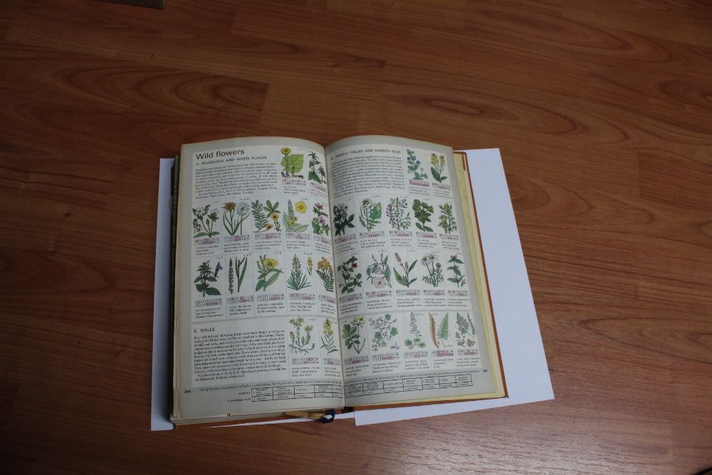 The Reader's Digest AA BOOK of the Road