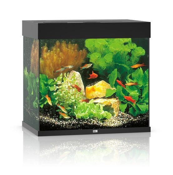 NOWE Akwarium Juwel Lido 120 LED, zestaw akwariowy