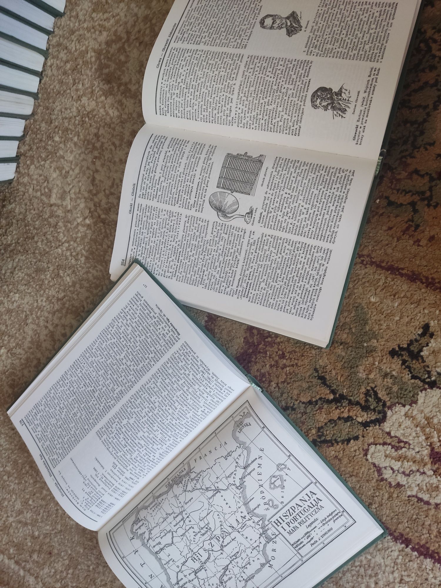 Encyklopedia Gutenberga 36 książek