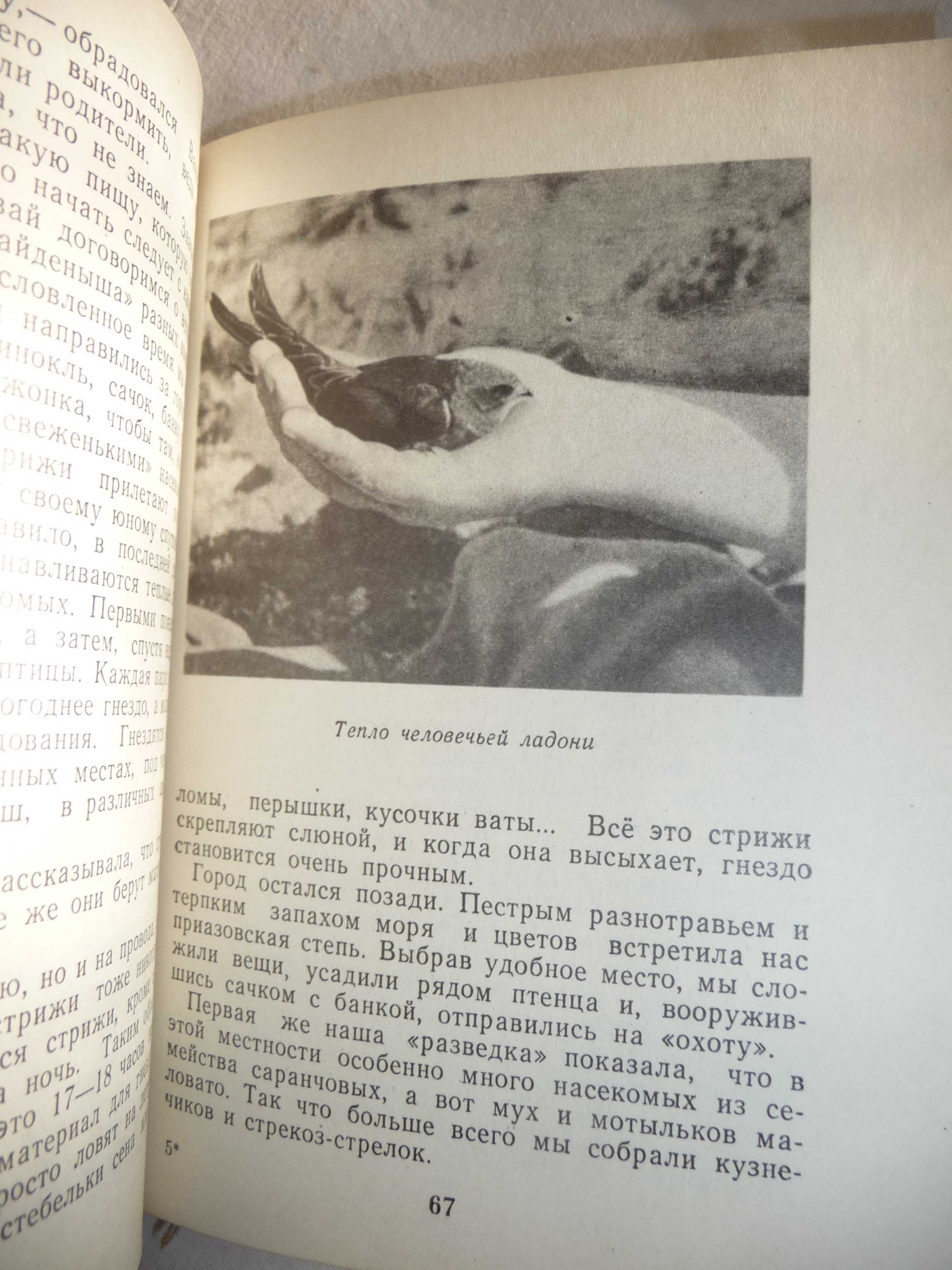 Лошаков "Птицы живут на Земле" книга детская научно-популярная
