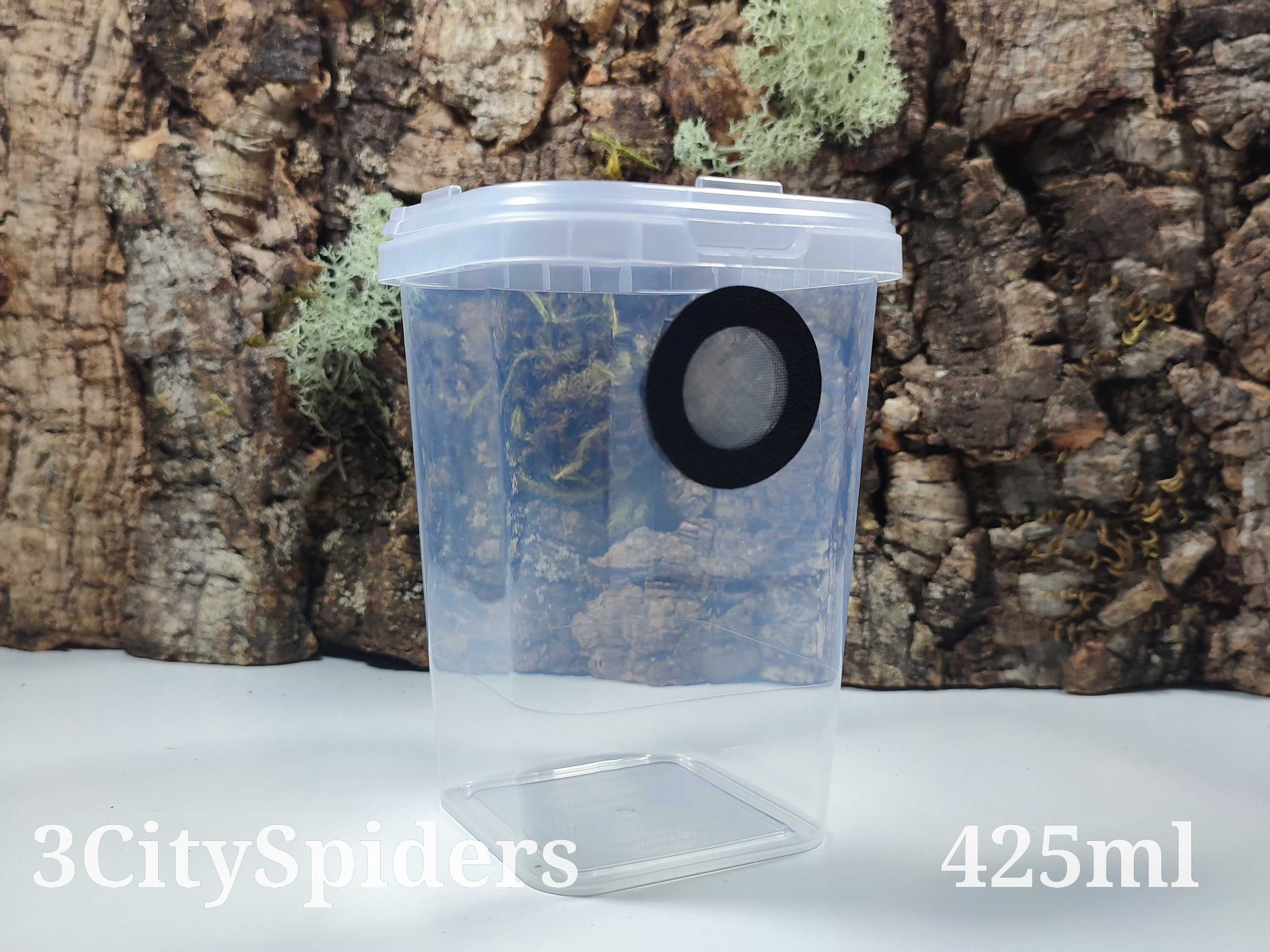 Pojemnik hodowlany dla pająka z gotową wentylacją (3CitySpiders)