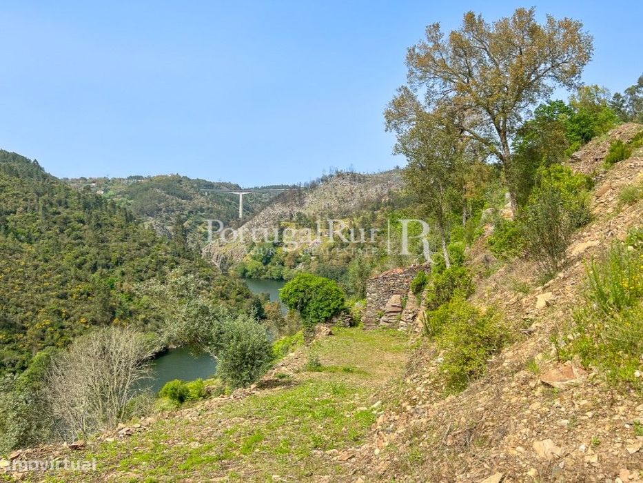 Quinta com 9.500m2 junto ao Rio Zêzere