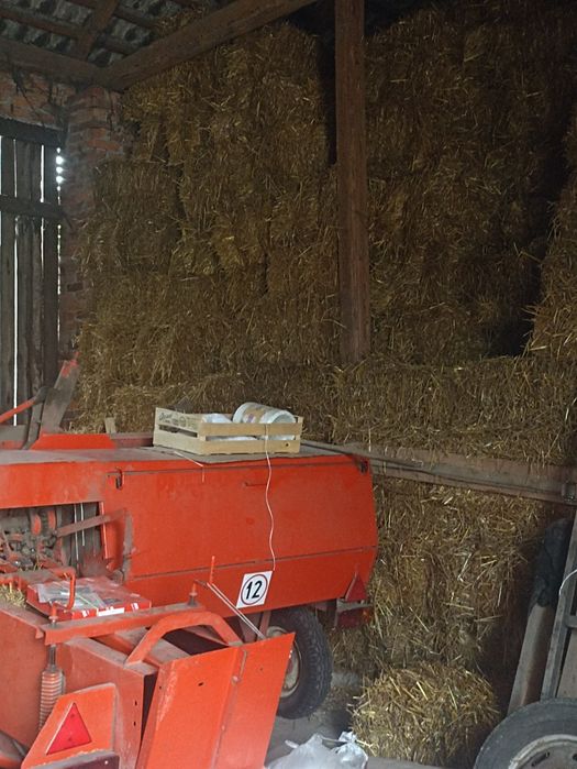 Słoma owsiana i pszenna tegoroczna