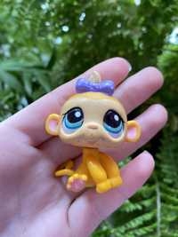 LPS Littlest pet shop małpka #1635