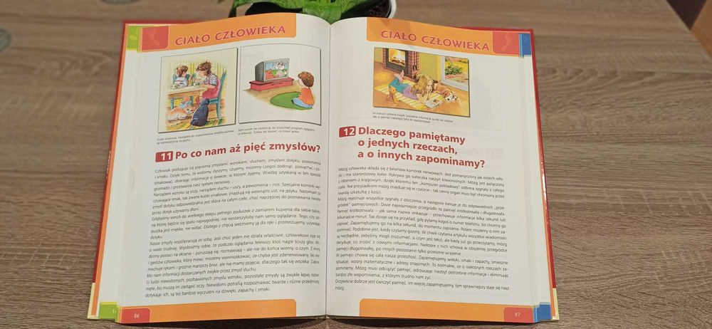 Dlaczego... Odpowiedzi na pozornie łatwe pytania