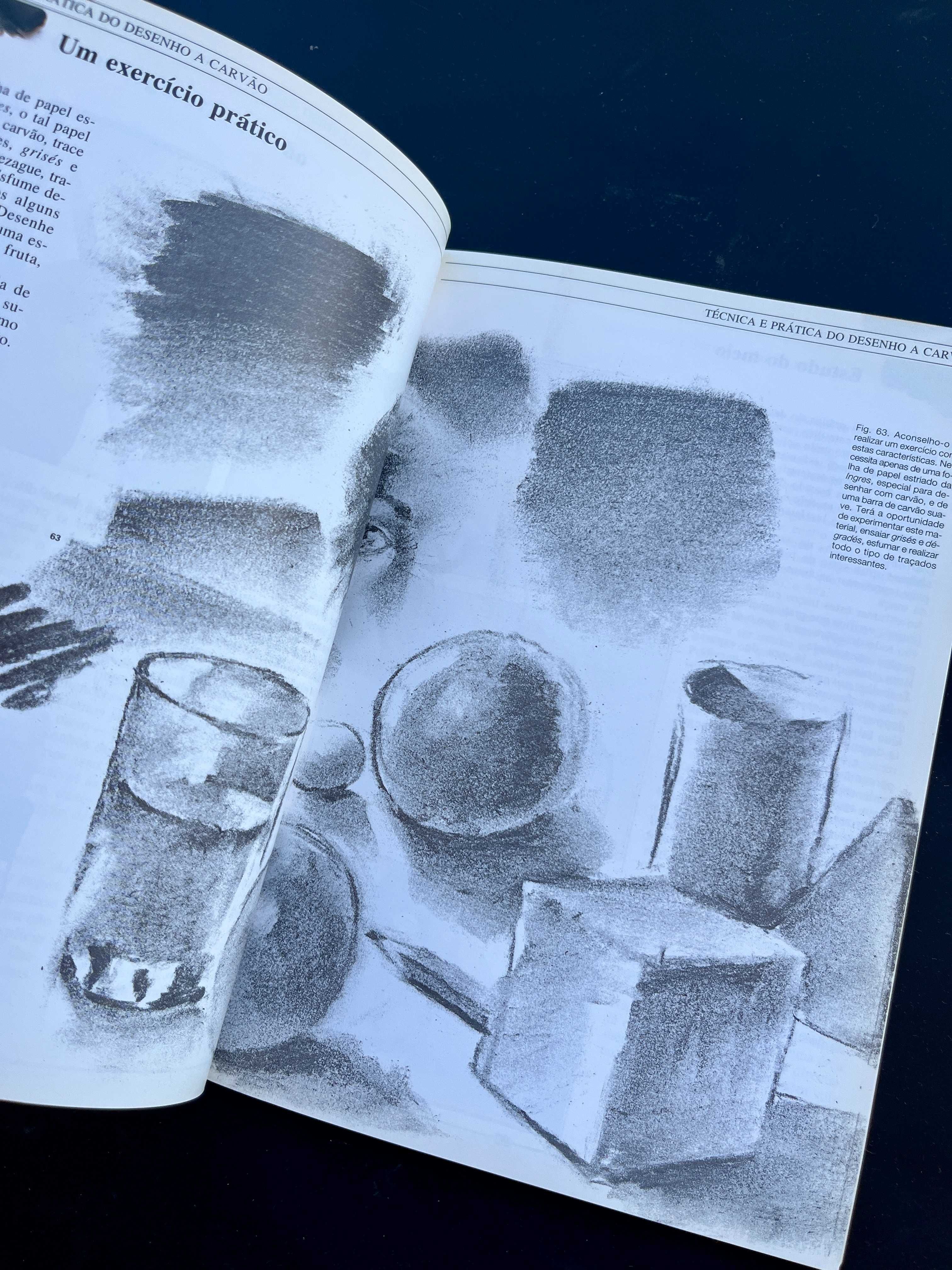 Livros de Arte e Pintura – Técnicas, História e Artistas