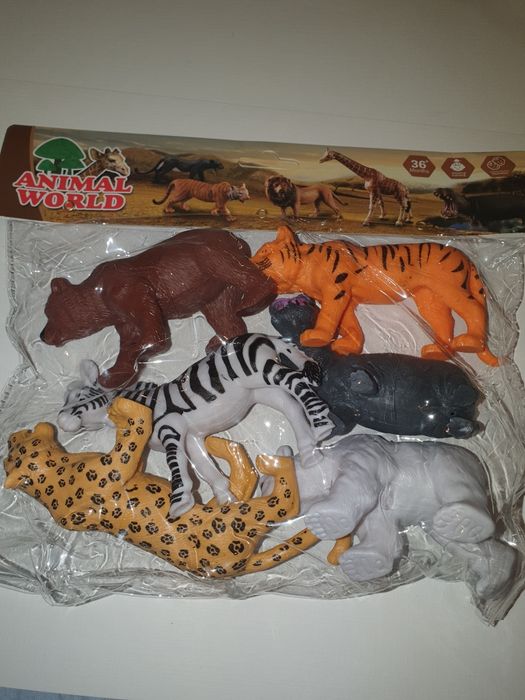 Dzikie zwierzęta  zoo tygrys biały miś