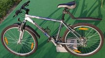 rower Wheeler PR 800 ProRide 26"