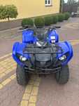 Yamaha Grizzly 125