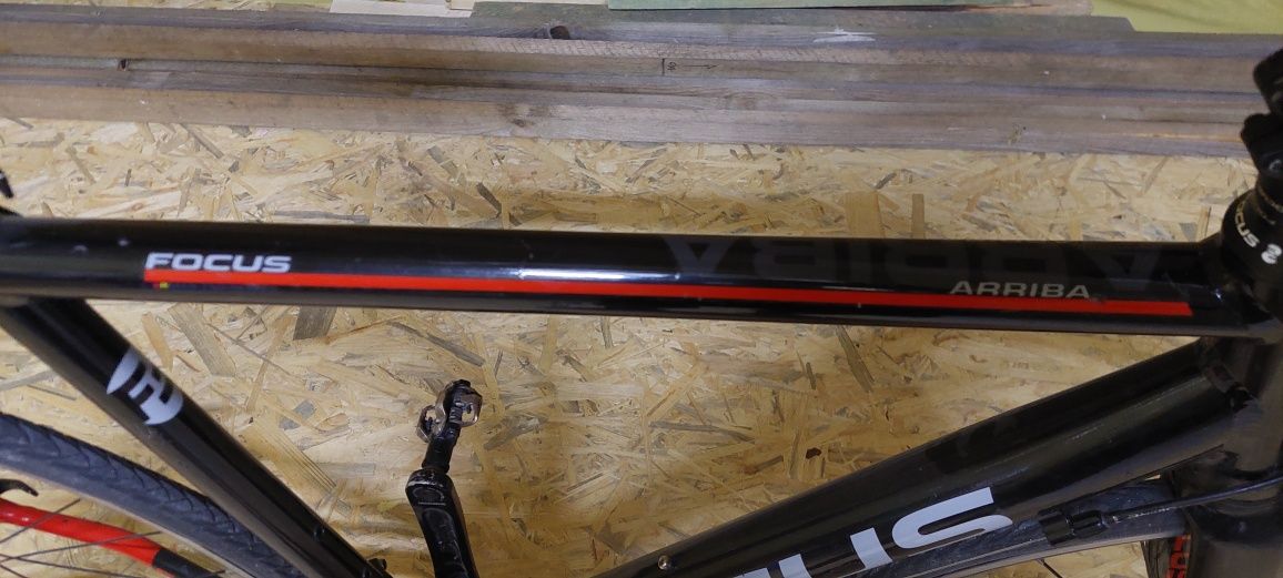 Rower szosowy Focus ARRIBA 28"