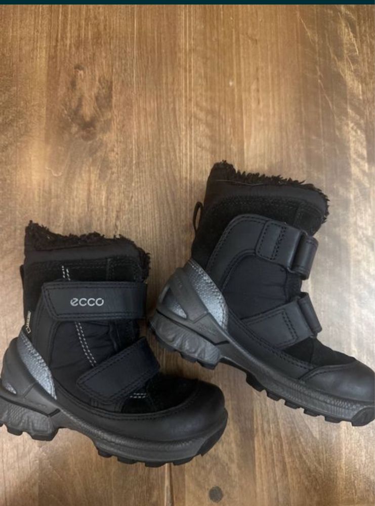Зимові черевики Ecco Biom Hike Gore-Tex 22