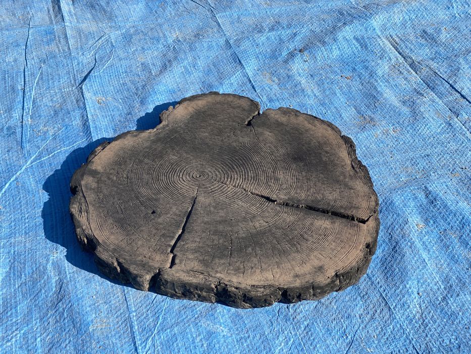 Плитка пенек, спил дерева  тротуарная плитка днепр