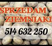 Sprzedam ziemniaki