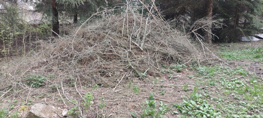 Gałęzie drewno opal gałęziówka