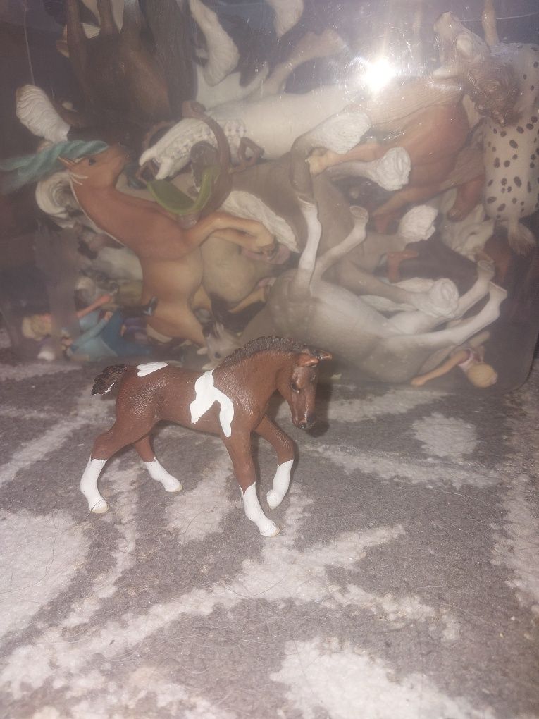 Źrebak schleich w łatki