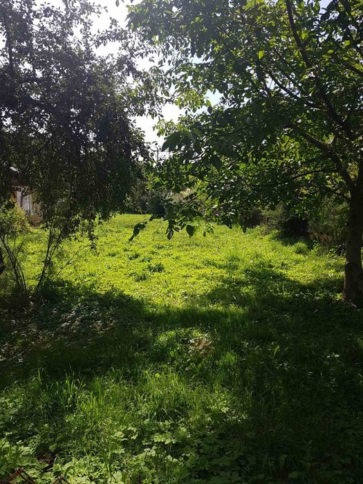 Продам приватний будинок