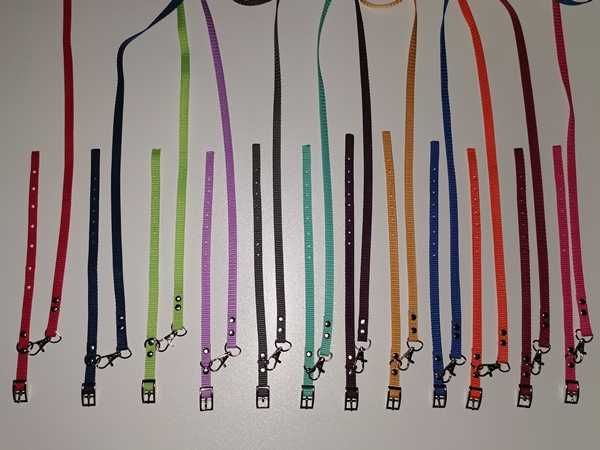 york obroża i smycz dla szczeniaka, zestaw 10 szt. kolory wyprawka