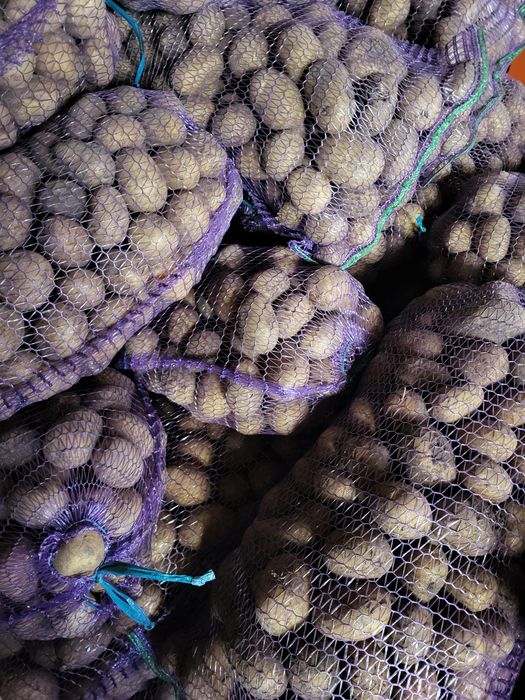 Продам картоплю дуже смачна, ДОСТАВКА. БЕЗ ХІМІКАТІВ бульба картофель