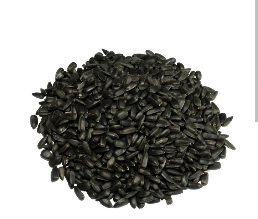 Slonecznik dla ptakow koni 25 kg