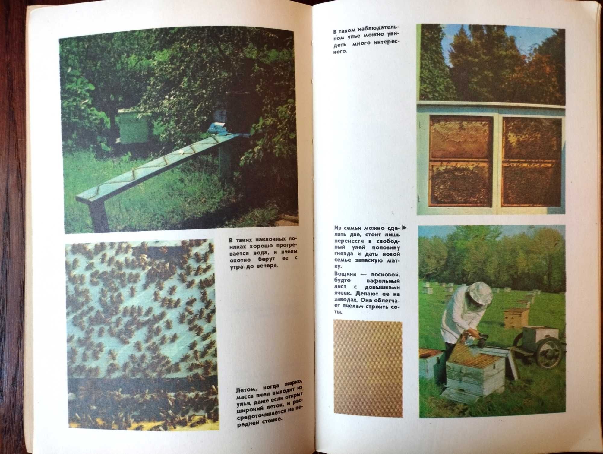 Книги по пчеловодству. Книги о пчелах. Юному пчеловоду.