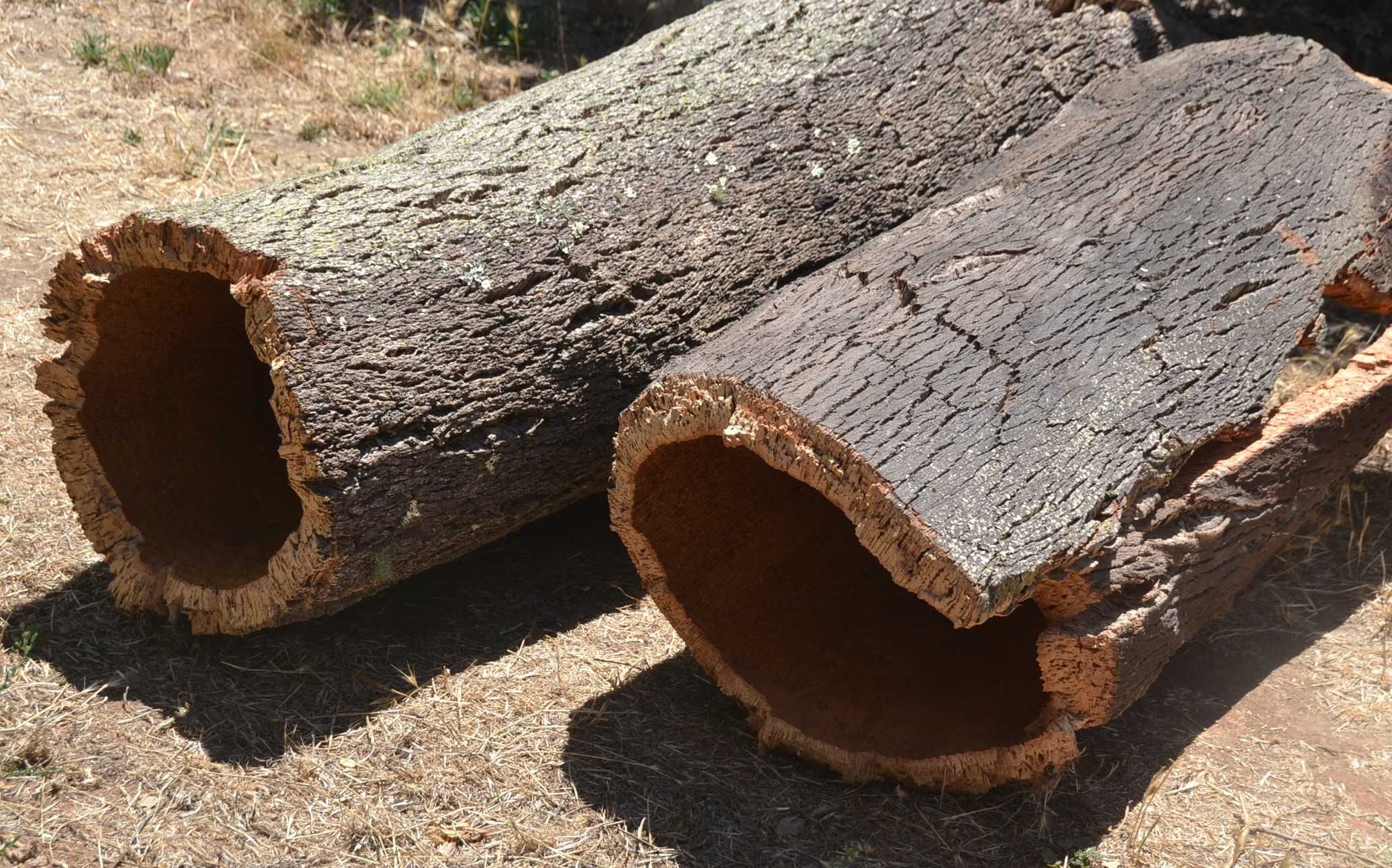 Rolos, tubos, cilindros de cortiça natural