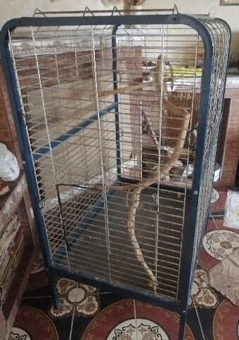 Продам вальер (для большого папугая)