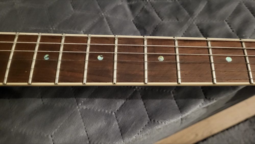 Gitara Samick Greg Bennett Torino TR2