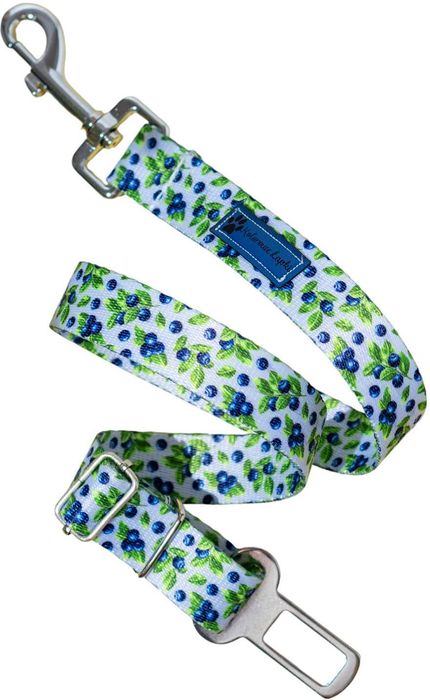 Pas samochodowy bezpieczeństwa do samochodu auta BORÓWKI