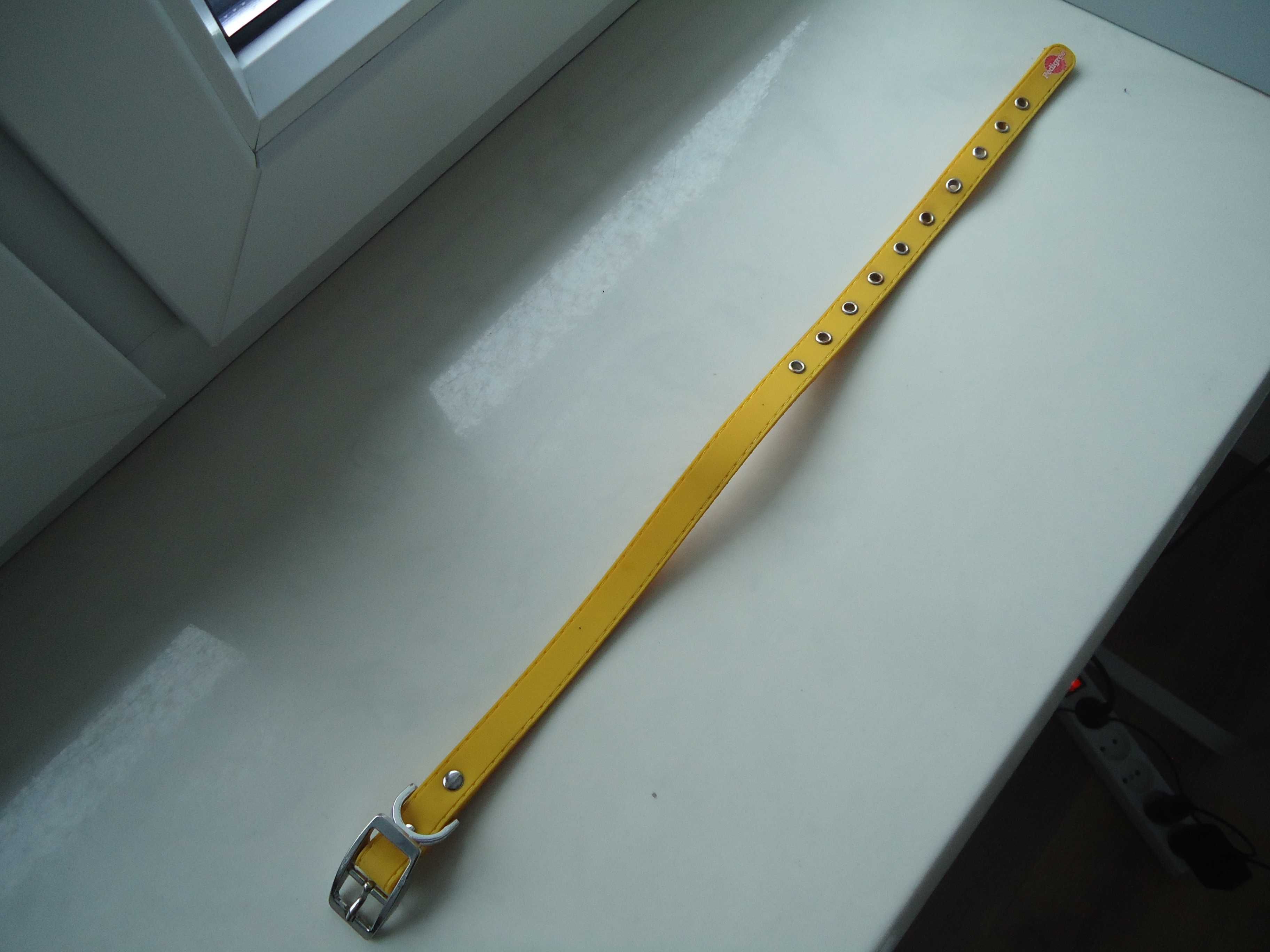 Żółta obroża dla psa 46cm nowa