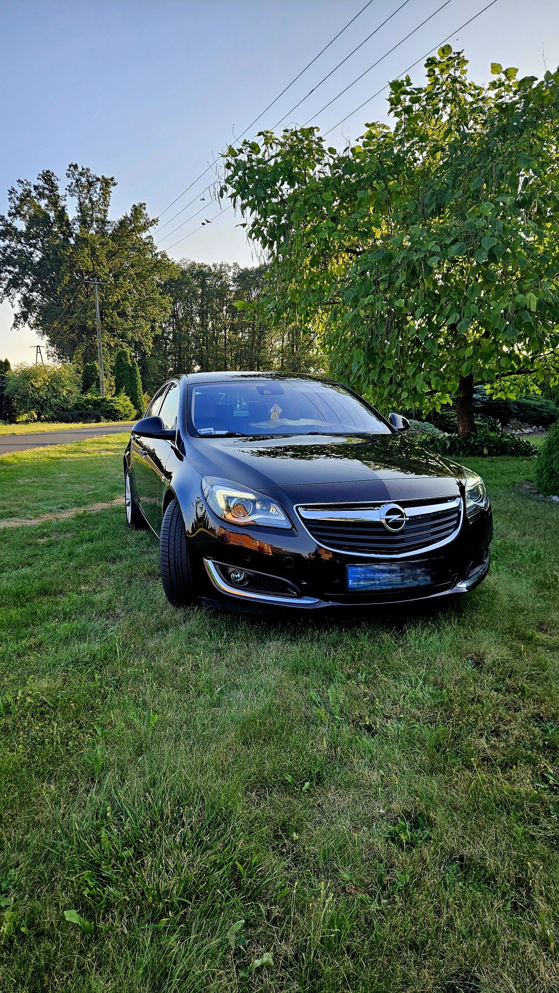 Opel Insignia 2.0 4x4 250 KM 2014 Automat