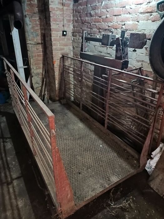 Waga do bydła, koni, świń