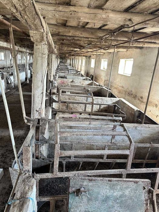 ОРЕНДА, ПРОДАЖ свиноферми