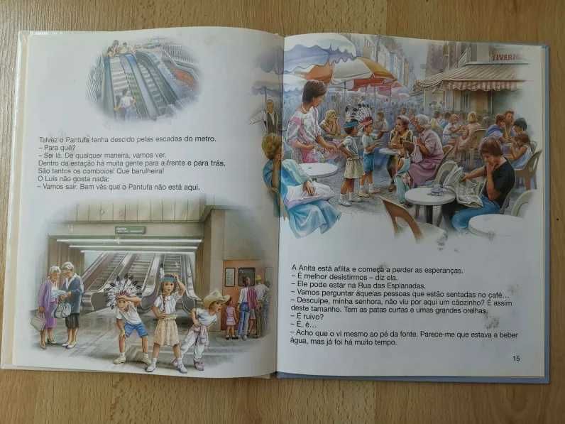 Livro anita perdeu o cão
