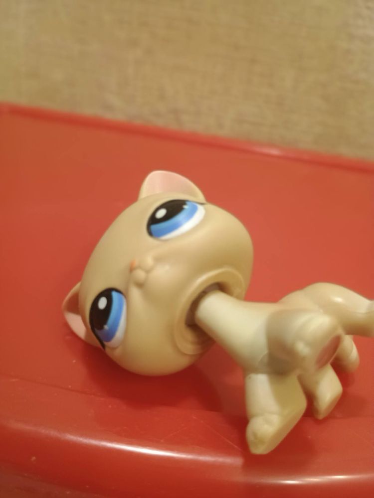 Littlest pet shop kot shorthair Pop #228 figurka LPS cat shorthair