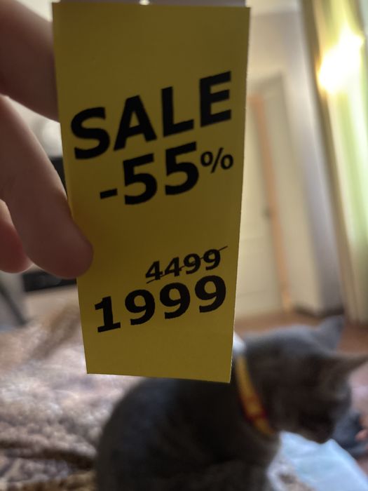 Конверсы 39 размер кожа