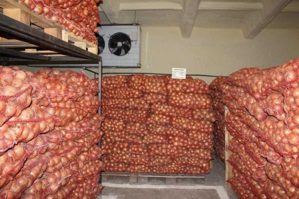 Холодильна камера для овочів  0 + 6 °C (Львів, Золочів, Броди)