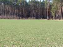Sprzedam działki budowlane z WZ