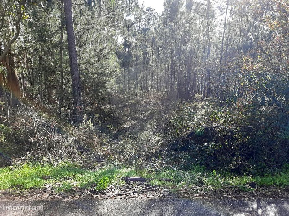 Terreno  para venda
